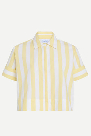 Livro Club Shirt, Club Stripe LIVRO