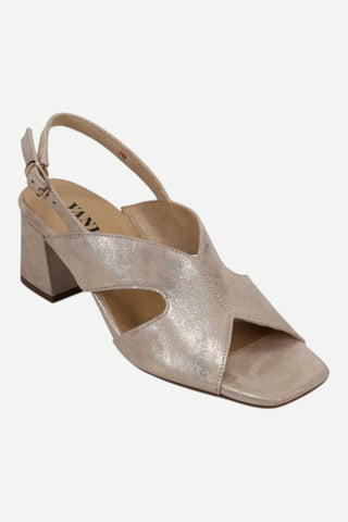 Vaneli Daffy Heel, Champagne VANELI
