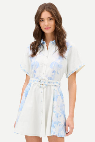Allison Finley MIni Dress, Watercolor Allison