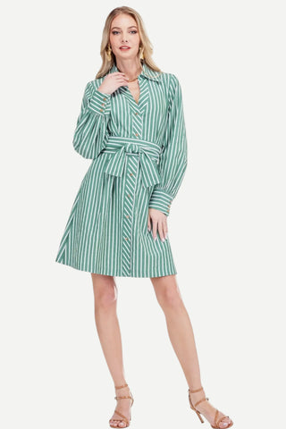 Jade Collar Waist Pleated Shirt Dress, Green Stripe