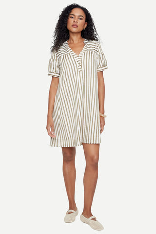 Renuar Striped Dress, Khaki Combo Renuar