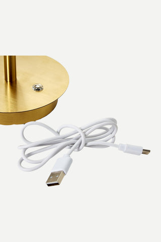 Two's Company LED Cordless Table Lamp with Acrylic Shade