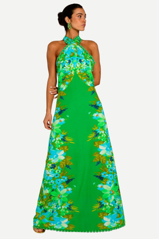 Elizabeth James Aubrey Maxi Dress, Hula