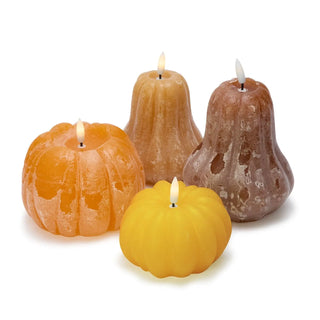 Two's Company Flameless Pumpkin & Gourd Dark Color Candle, Medium Size