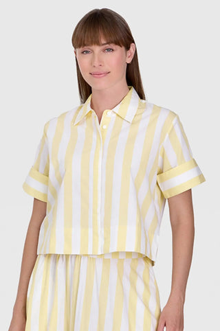Livro Club Shirt, Club Stripe LIVRO