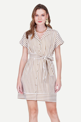 Joy Joy Waist Pleated Button Dress, Brown Stripe