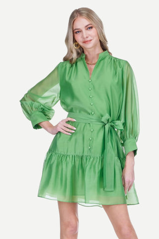 Joy Joy Front Split Buttons Dress, Pistachio