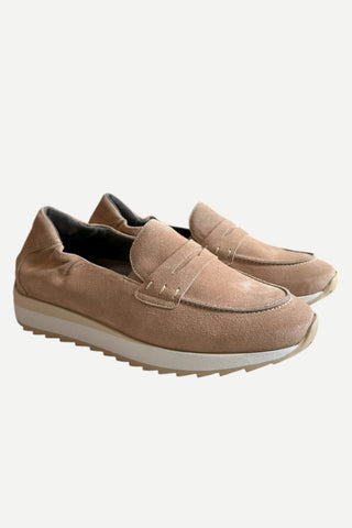 SOFTWAVES DIGNA SAHARA
