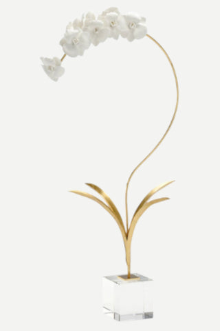 Chelsea House Orchid in Stand, Large