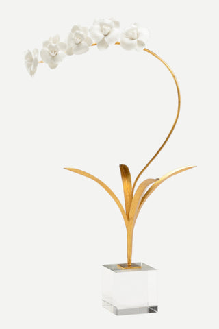 Chelsea House Orchid in Stand