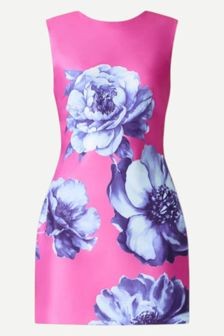 Elliatt Sybella Shift Mini Dress, Blue Pink Floral