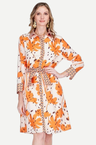 Jade Contrast Short Shirt Dress, Wild Ember
