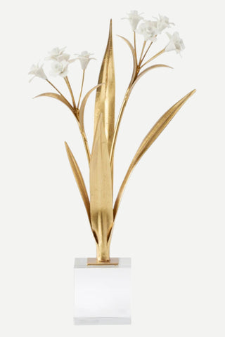 Chelsea House Paperwhite Narcissus