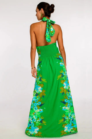 Elizabeth James Aubrey Maxi Dress, Hula