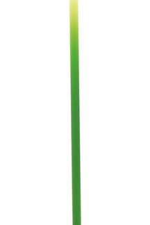 Zafferano Poldina Pro Micro Cordless Lamp, Yellow Green